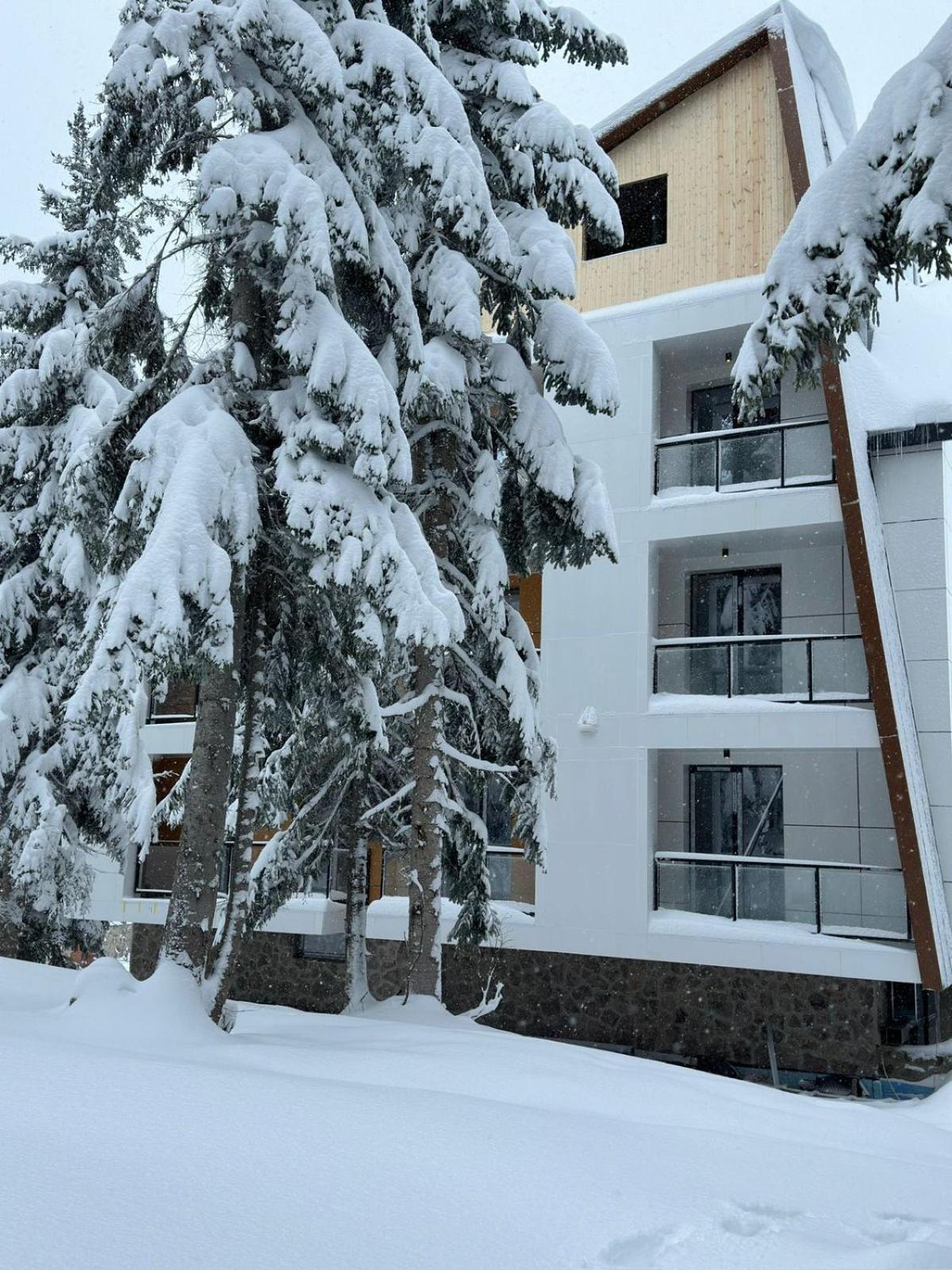 Forest Villa Goderdzi Eksteriør bilde