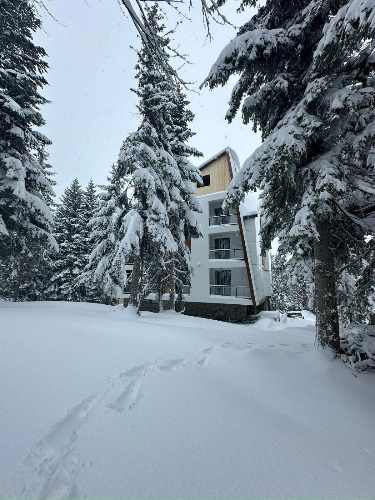 Forest Villa Goderdzi Eksteriør bilde
